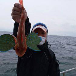 ありもと丸 釣果