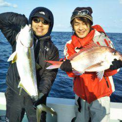 アマテラス 釣果