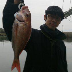 遊漁船 家入 釣果