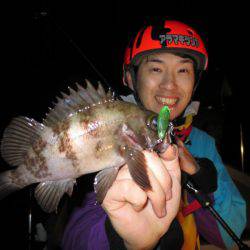 Chase（チェイス） 釣果