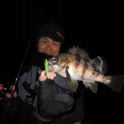 Chase（チェイス） 釣果