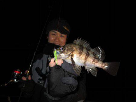 Chase（チェイス） 釣果