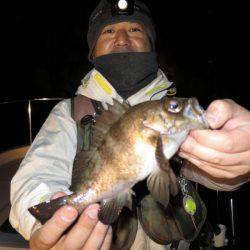 Chase(チェイス) 釣果