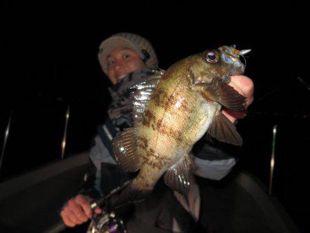 Chase(チェイス) 釣果