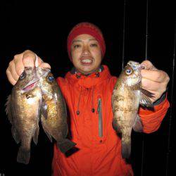 Chase（チェイス） 釣果