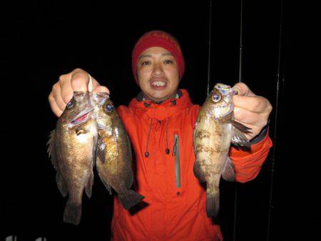 Chase（チェイス） 釣果