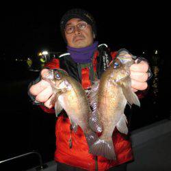 Chase（チェイス） 釣果