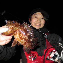 Chase（チェイス） 釣果