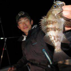 Chase（チェイス） 釣果