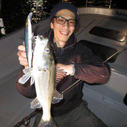 Chase（チェイス） 釣果