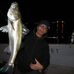 Chase（チェイス） 釣果