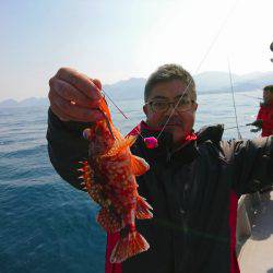 まるいち丸 ZERO-1 釣果