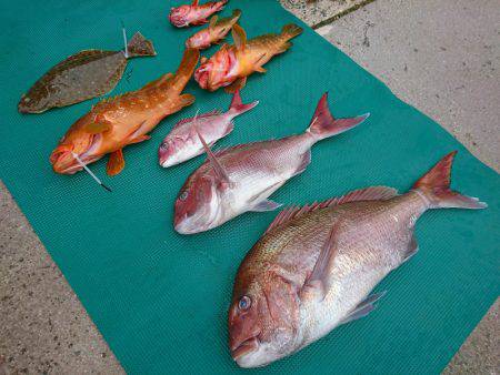 まるいち丸 ZERO-1 釣果