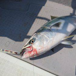 まるいち丸 ZERO-1 釣果