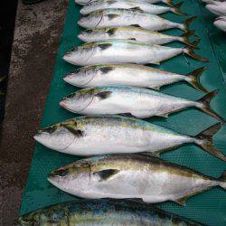 まるいち丸 ZERO-1 釣果