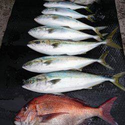 まるいち丸 ZERO-1 釣果