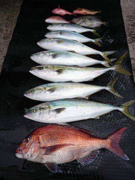 まるいち丸 ZERO-1 釣果