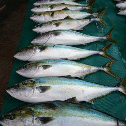 まるいち丸 ZERO-1 釣果