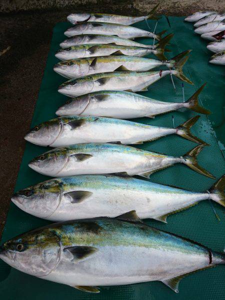 まるいち丸 ZERO-1 釣果