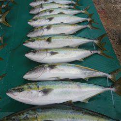 まるいち丸 ZERO-1 釣果