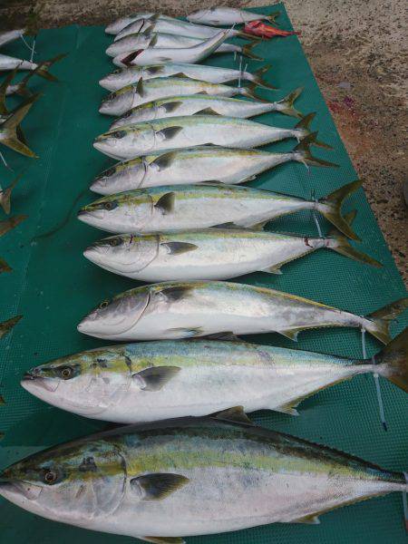 まるいち丸 ZERO-1 釣果