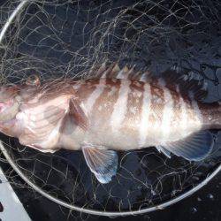 第二龍勢丸 釣果