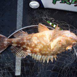 第二龍勢丸 釣果