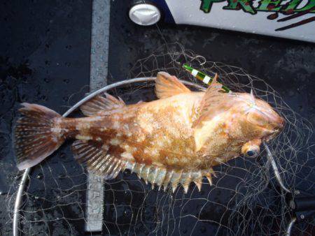 第二龍勢丸 釣果