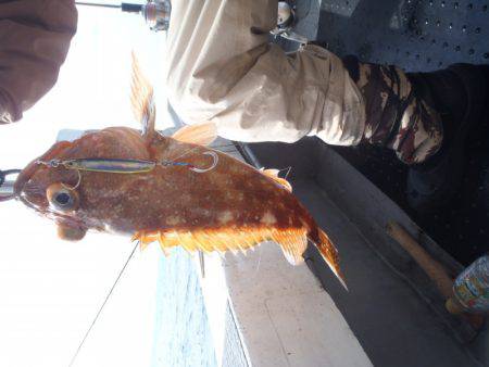 第二龍勢丸 釣果