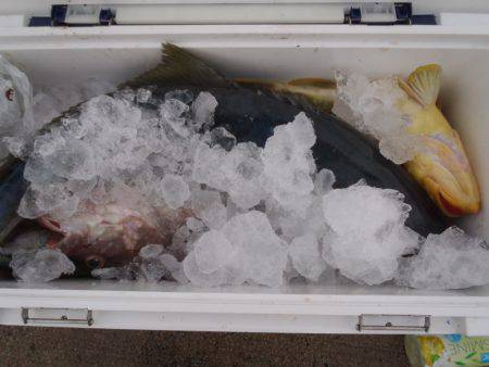 第二龍勢丸 釣果