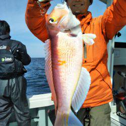 アマテラス 釣果