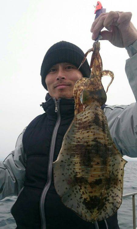 シースナイパー海龍 釣果