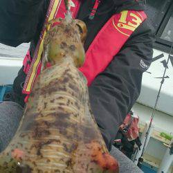 シースナイパー海龍 釣果