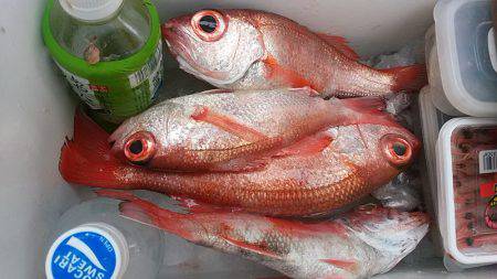 ぽん助丸 釣果