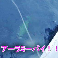 ＫＹＯＥＩⅢ 釣果