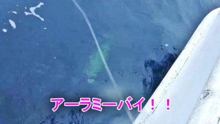 ＫＹＯＥＩⅢ 釣果