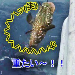 ＫＹＯＥＩⅢ 釣果