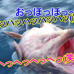 ＫＹＯＥＩⅢ 釣果