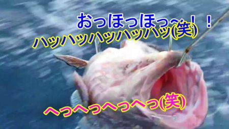 ＫＹＯＥＩⅢ 釣果