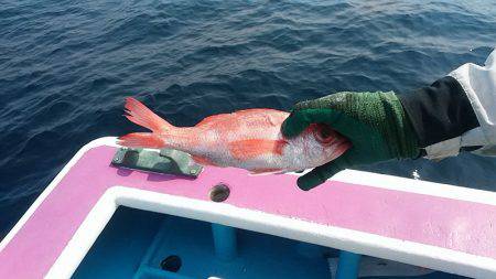 ぽん助丸 釣果