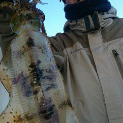 シースナイパー海龍 釣果