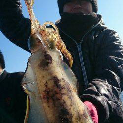シースナイパー海龍 釣果
