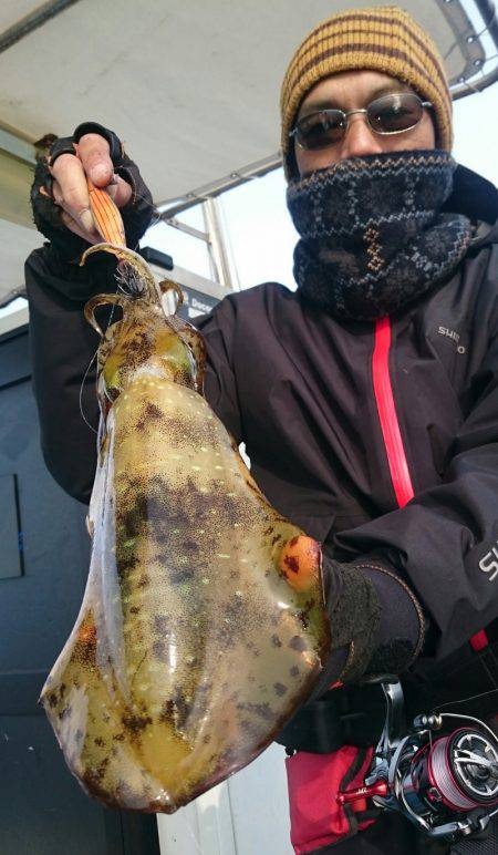 シースナイパー海龍 釣果