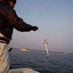 ひな丸 釣果