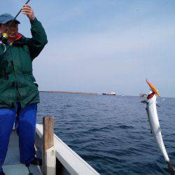 ひな丸 釣果