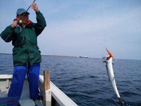 ひな丸 釣果
