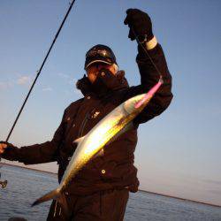 ひな丸 釣果
