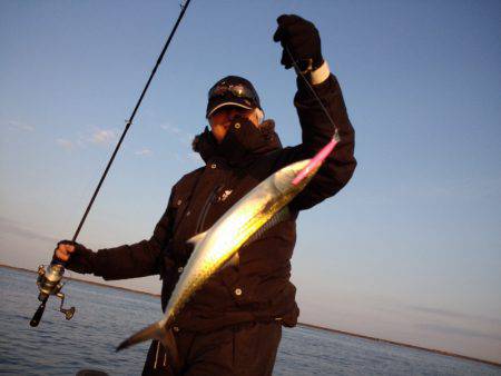 ひな丸 釣果