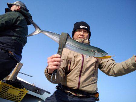 ひな丸 釣果