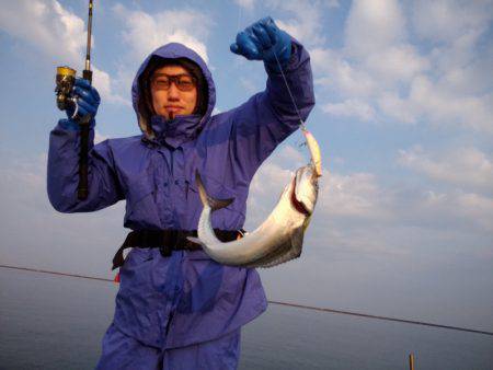 ひな丸 釣果